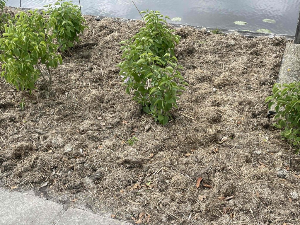 5 cm bokashi toegepast