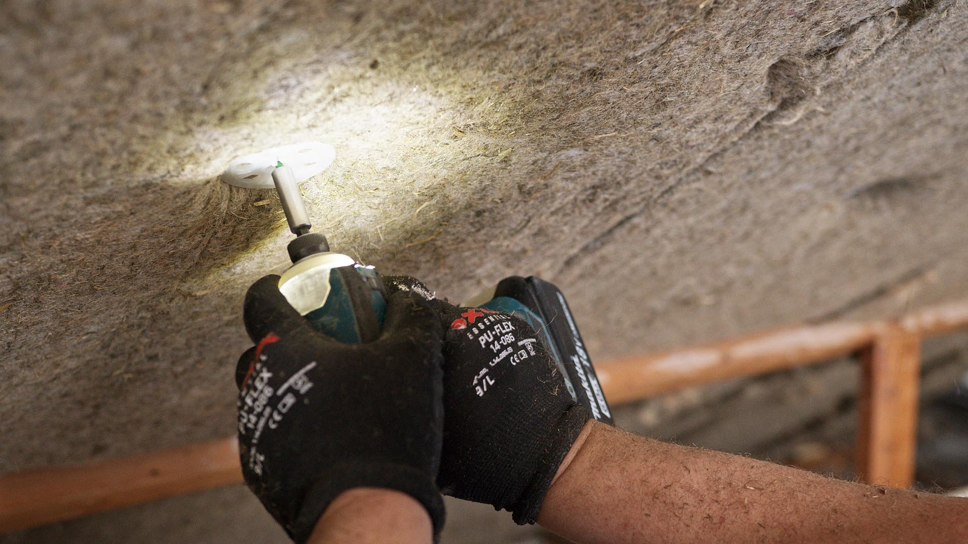 Van Berm tot Bouw: excursie in beeld